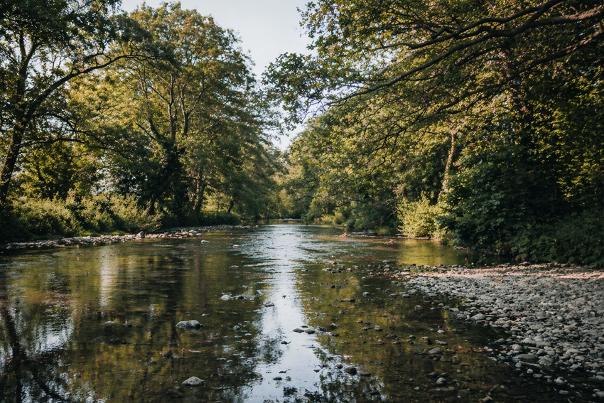 pollution in our rivers and seas – what can we do?